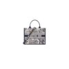 Medium Dior Book Tote