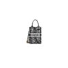 Mini Vertical Dior Book Tote