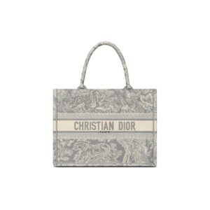 SMALL DIOR BOOK TOTE