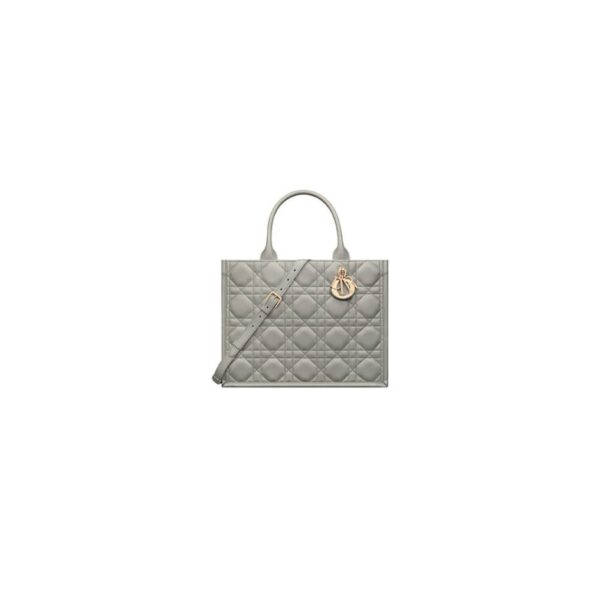Dior Medium Dior Book Tote
