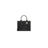 Dior Medium Dior Book Tote