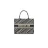 MEDIUM DIOR BOOK TOTE