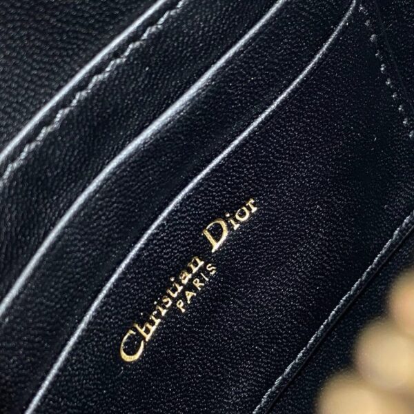 Dior Saddle Rodeo Pouch - Image 7