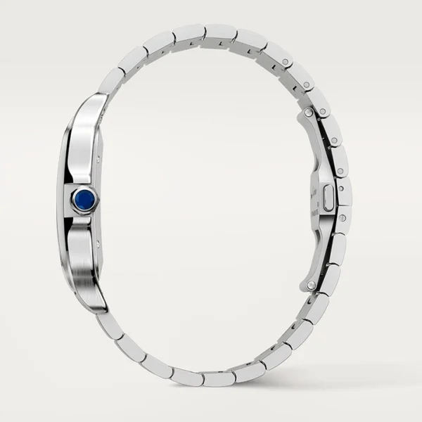 SANTOS DE CARTIER WATCH-WSSA0009(AAAAA version) - Image 9
